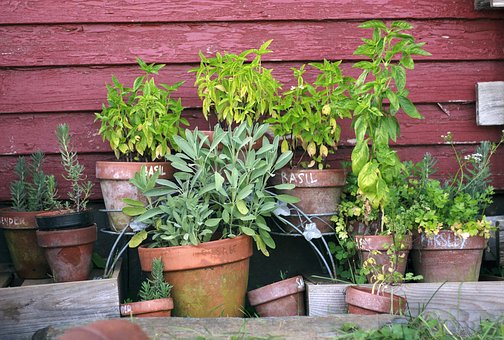 Haus und Garten – Ein kleiner Kräutergarten auf dem Balkon