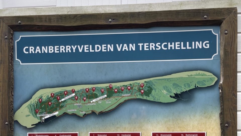 Terschelling – die Insel der Cranberries